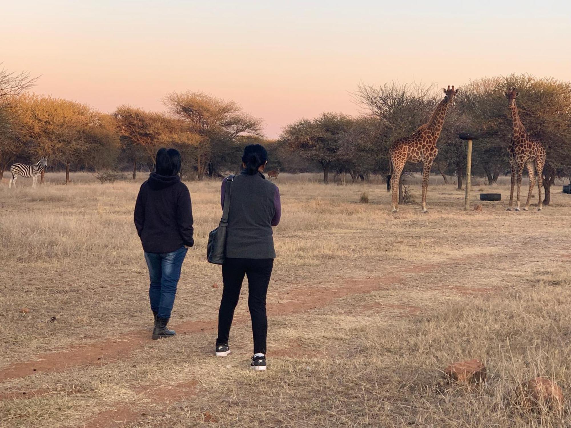 Tula Baba Game Lodge Brits Exterior photo