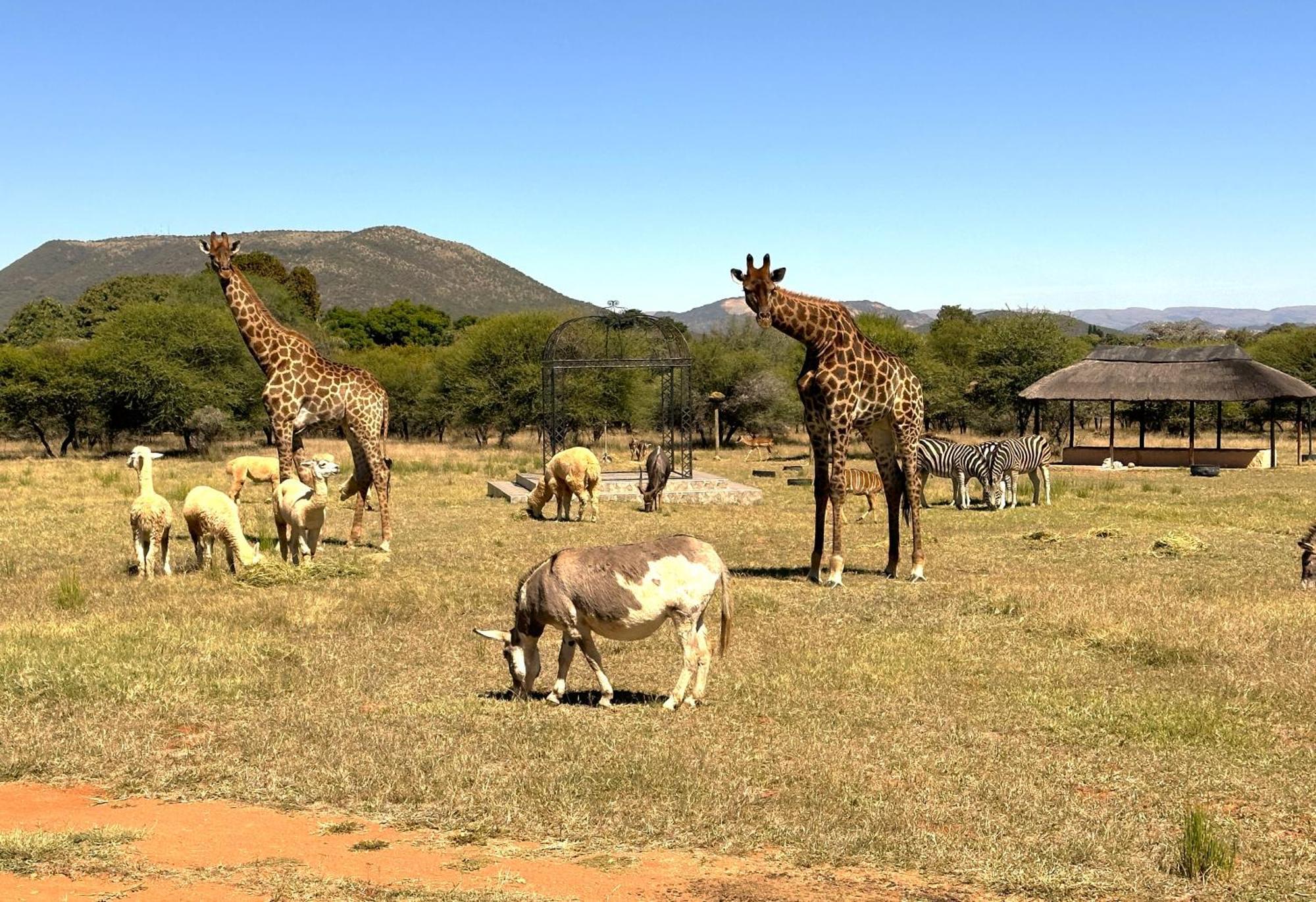 Tula Baba Game Lodge Brits Exterior photo