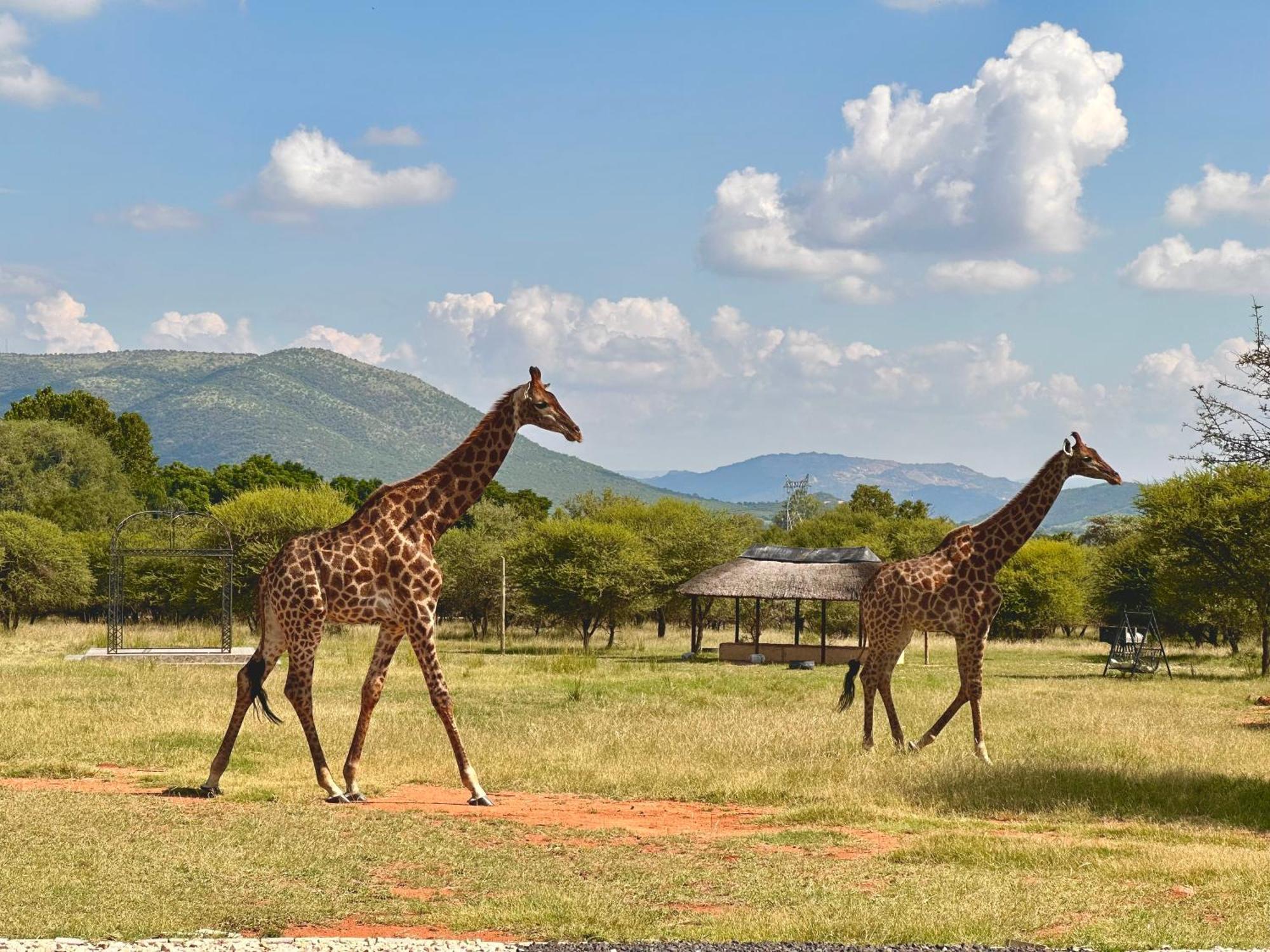 Tula Baba Game Lodge Brits Exterior photo