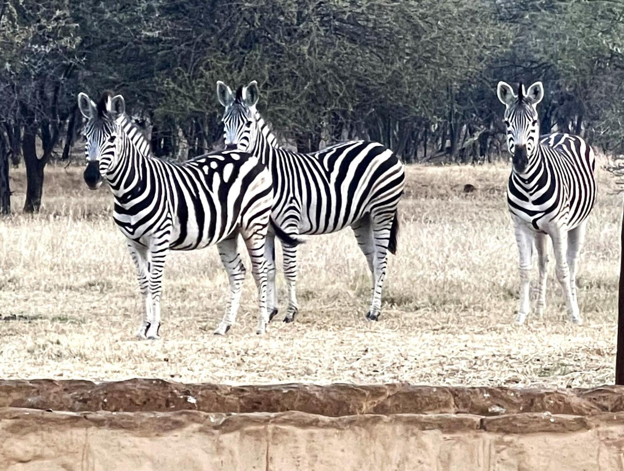 Tula Baba Game Lodge Brits Exterior photo