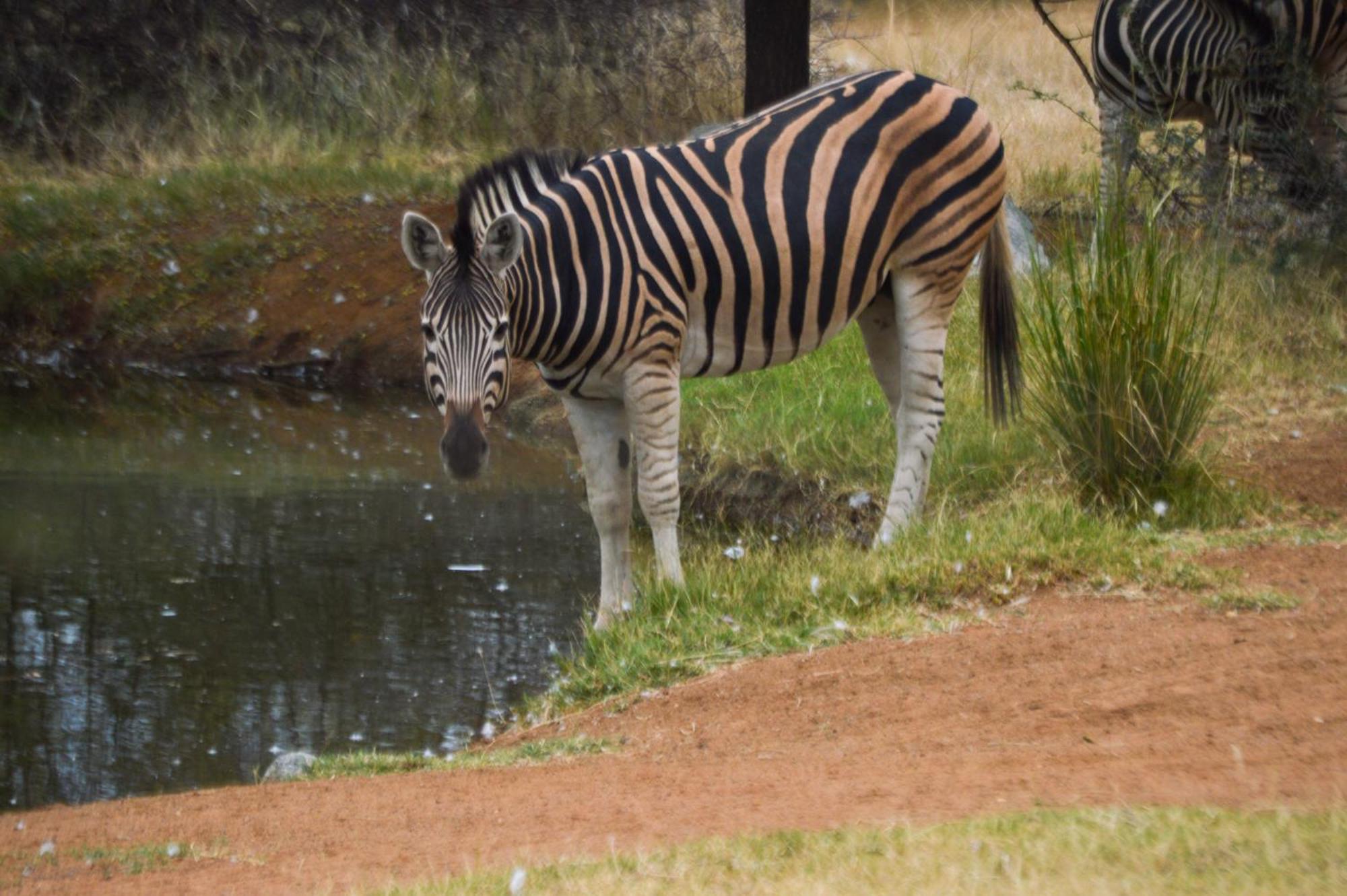 Tula Baba Game Lodge Brits Exterior photo