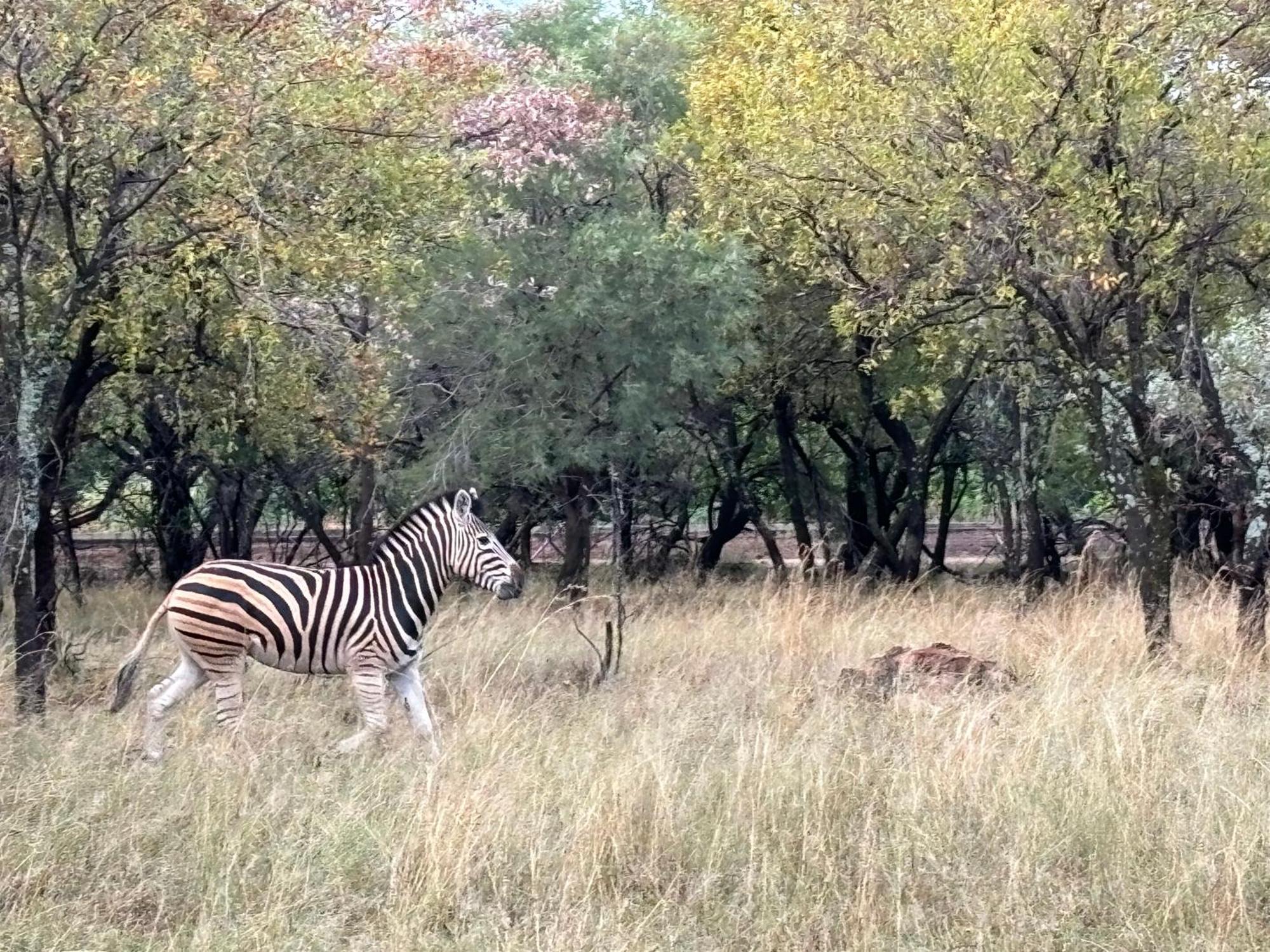 Tula Baba Game Lodge Brits Exterior photo