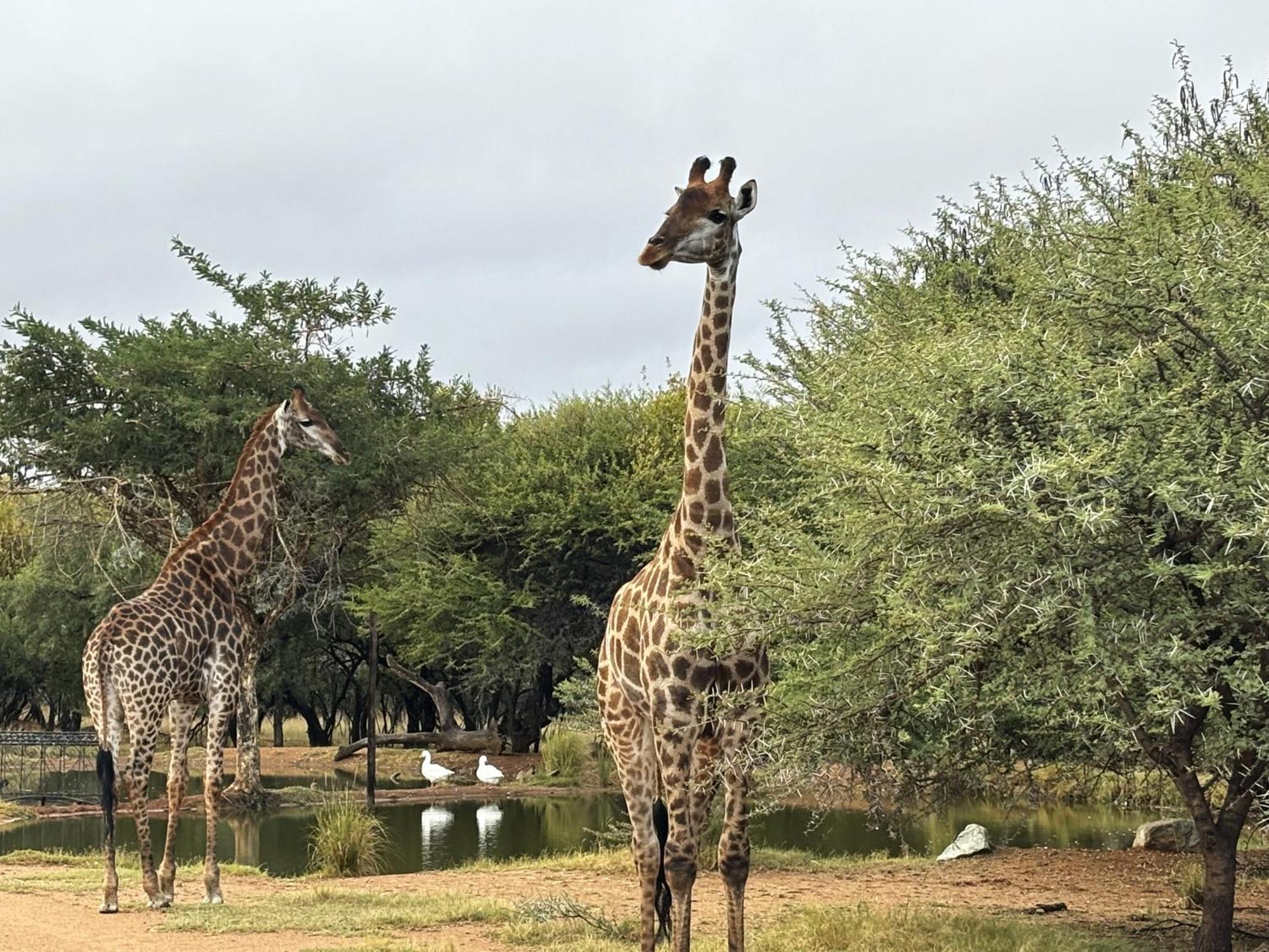 Tula Baba Game Lodge Brits Exterior photo